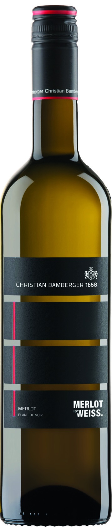 Merlot ist WEISS Blanc de Noir Weingut Bamberger