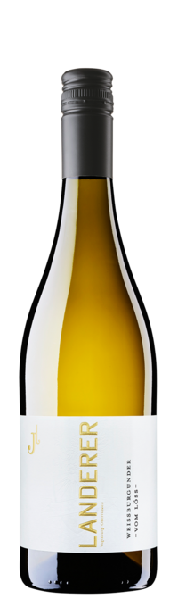 Weissburgunder vom Löss trocken Weingut Landerer
